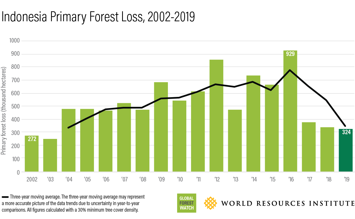 Indonesia tropical primary tree cover loss 2002-2019