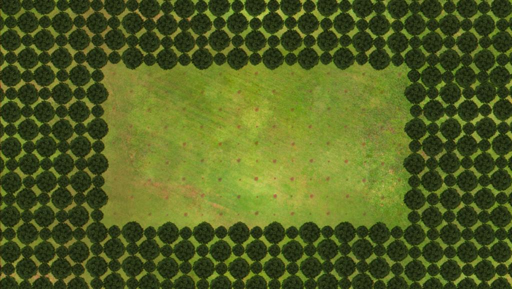 What You Need to Know About GFW's 2019 Tree Cover Loss Data | Global ...