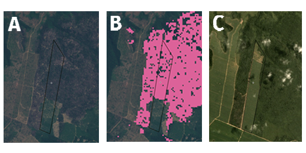 Areas of loss picked up by GFW in 2016 are picked up by PRODES in 2019