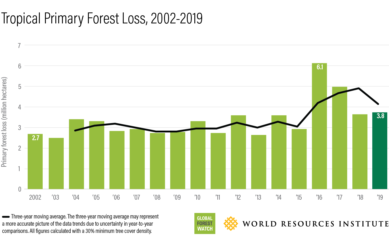 This bar chart shows how much forest has been lost annually between 2002 (2.7 million hectares) and 2019 (3.8 million hectares).