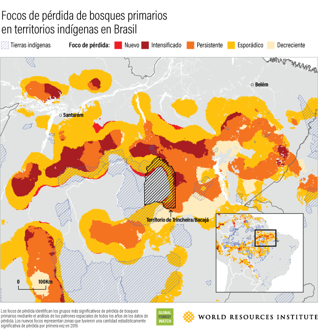 A map illustrates the concentrations of primary forest loss in Brazil's indigenous territories.