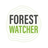 Global forest watch что это