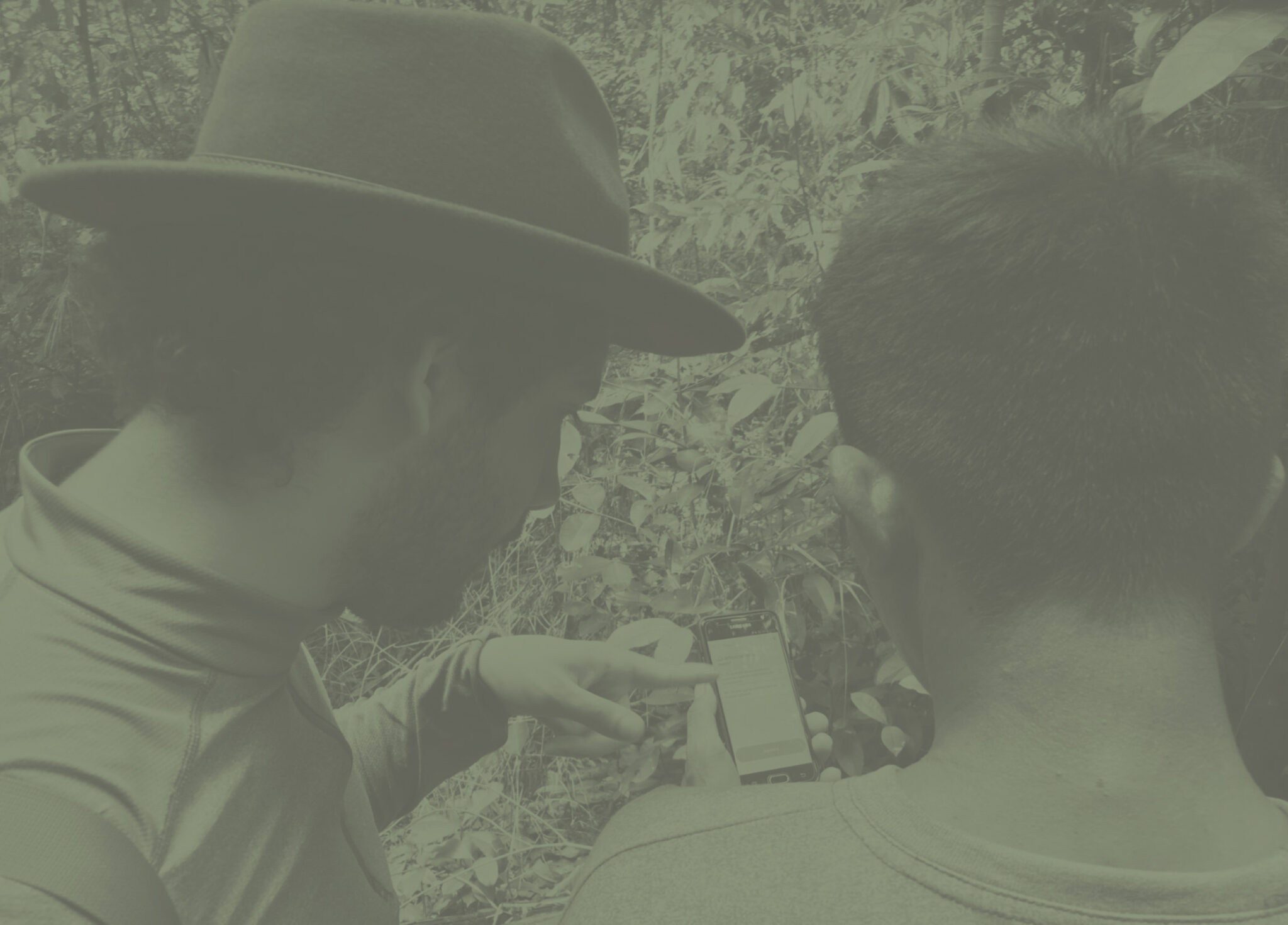 How To Use Global Forest Watch Maps Tools Gfw Help Center