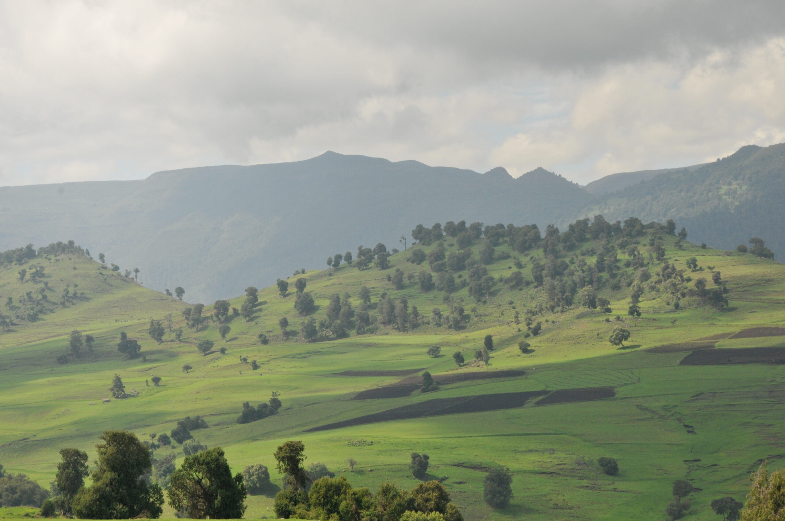 Landscape mosaic in the bale mountain, Ethiopia. Photo by Aaron Minnick / World Resources Institute