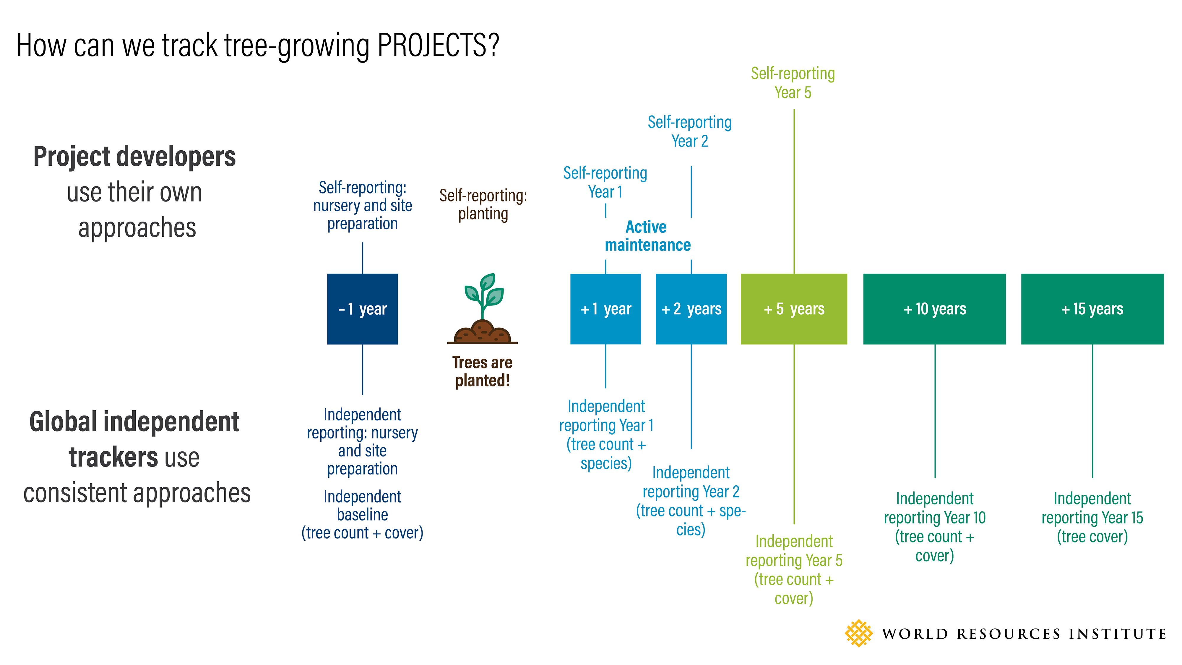 how to track tree planting projects