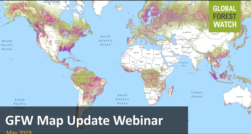 Launch of Global Forest Watch | Nestlé Global