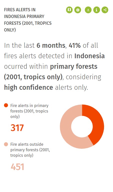 indonesia fire data for primary forests