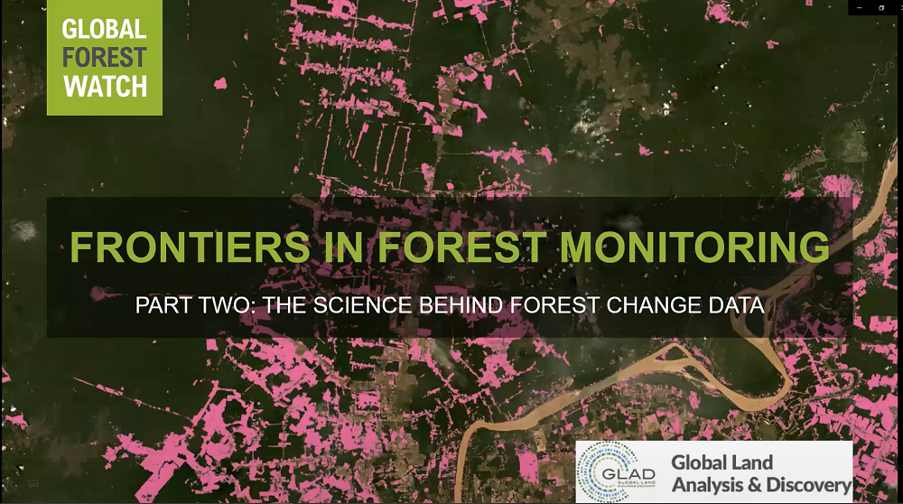 Tracking Deforestation Through Satellite Imagery | The Epoch Times