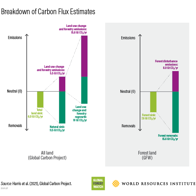 Forest carbon flux data models compared