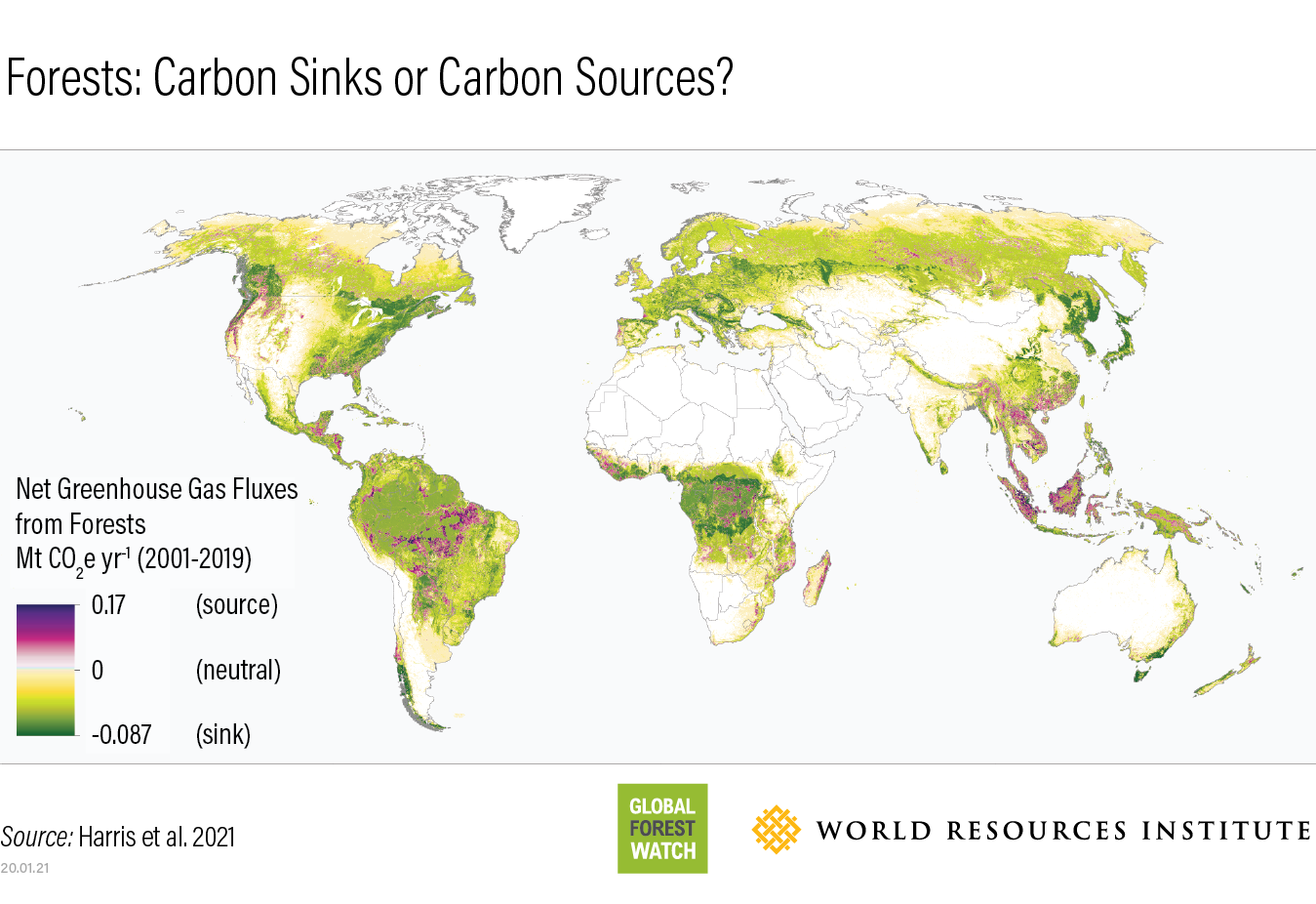 Forest carbon flux global map