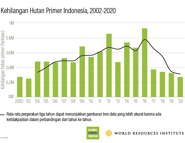 Indonesia tropical primary forest loss 2020