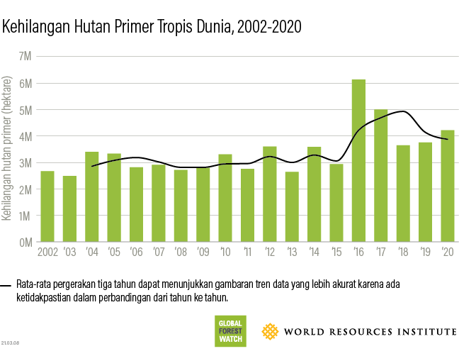 Tropical primary forest loss 2020 data