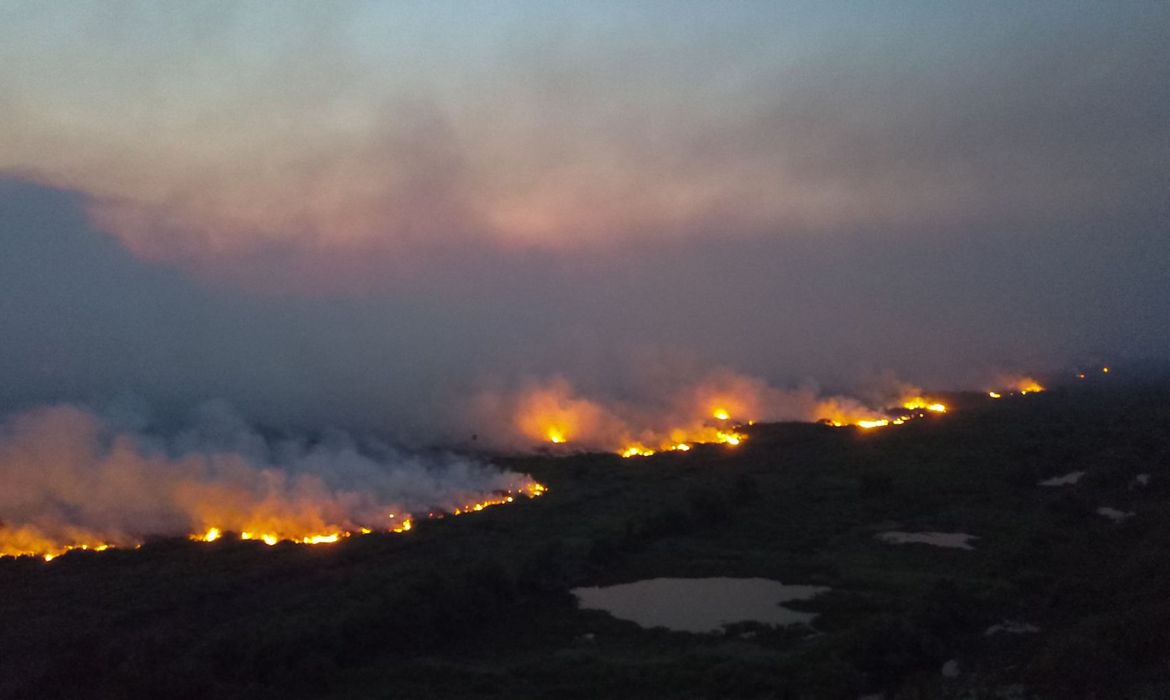 wildfires in pantanal wetlands