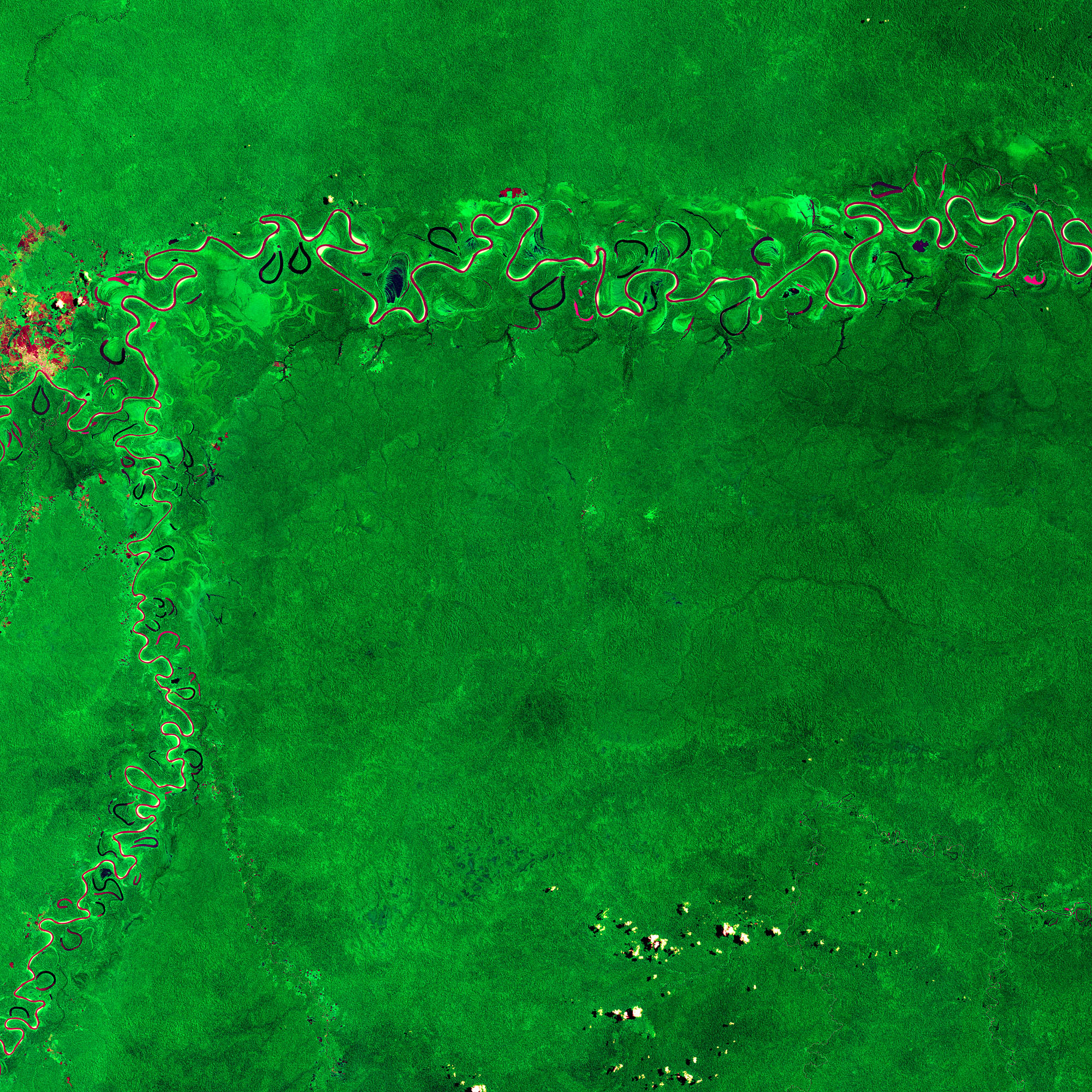 satellite data image of amazon rainforest