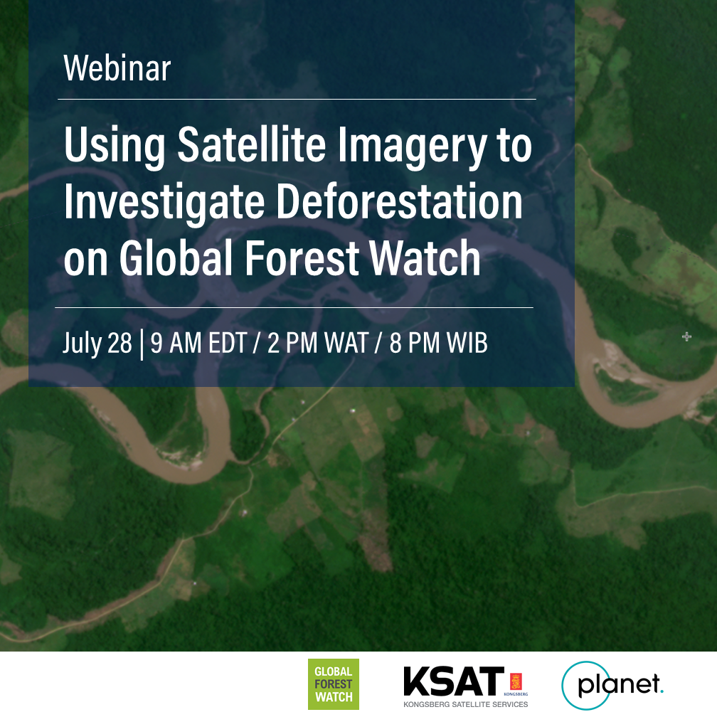 Global Forest Watch (@globalforests) / X