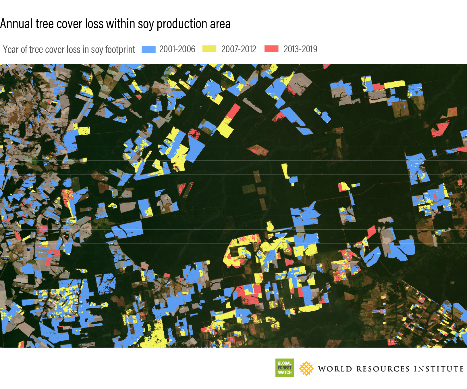Annual tree cover loss within soy production areas