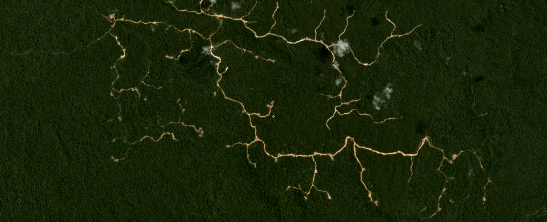 Planet satellite imagery of primary forest removal in Kalimantan Barat, Indonesia on GFW map