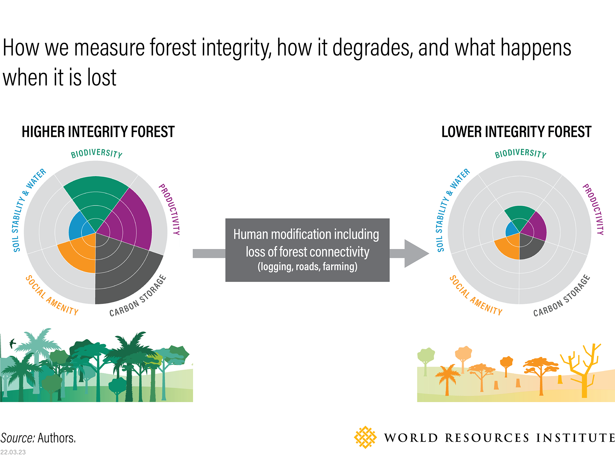 How we measure forest integrity, how it degrades, and what happens when it is lost