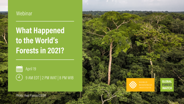 What Happened To The World’s Forests In 2021? | Help Center | Global ...