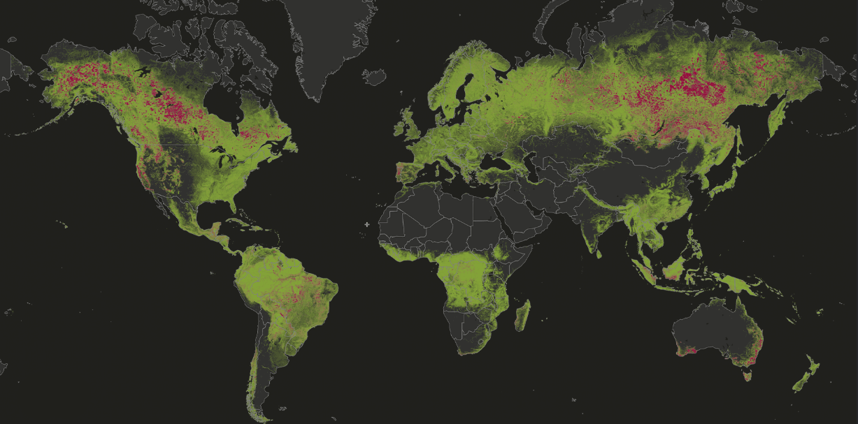 Tree cover loss due to fires visualized on the GFW map, 2001-2021