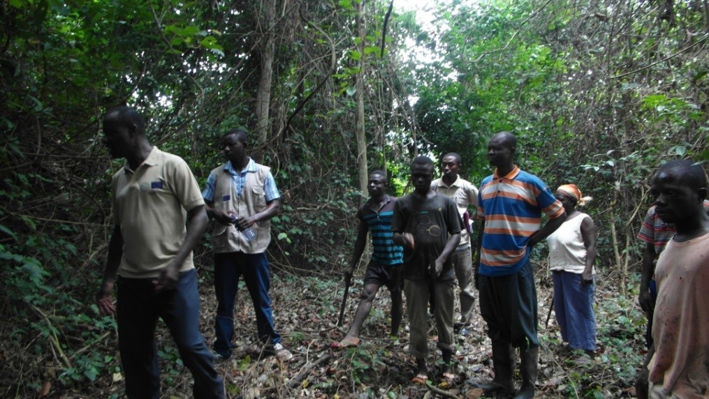 Working Group on Forest Certification Ghana