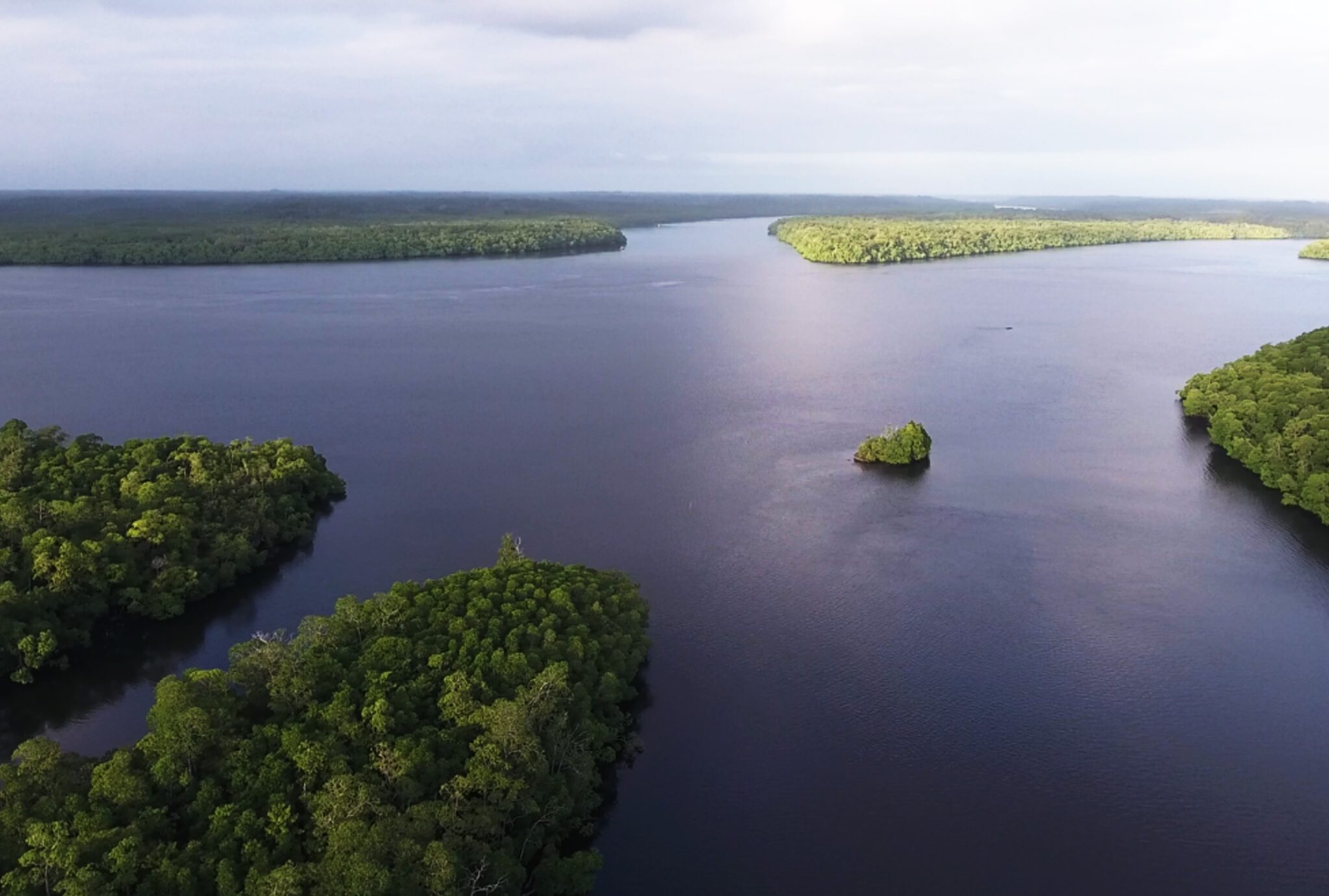 Small Grants Fund recipient Forest Watch Indonesia