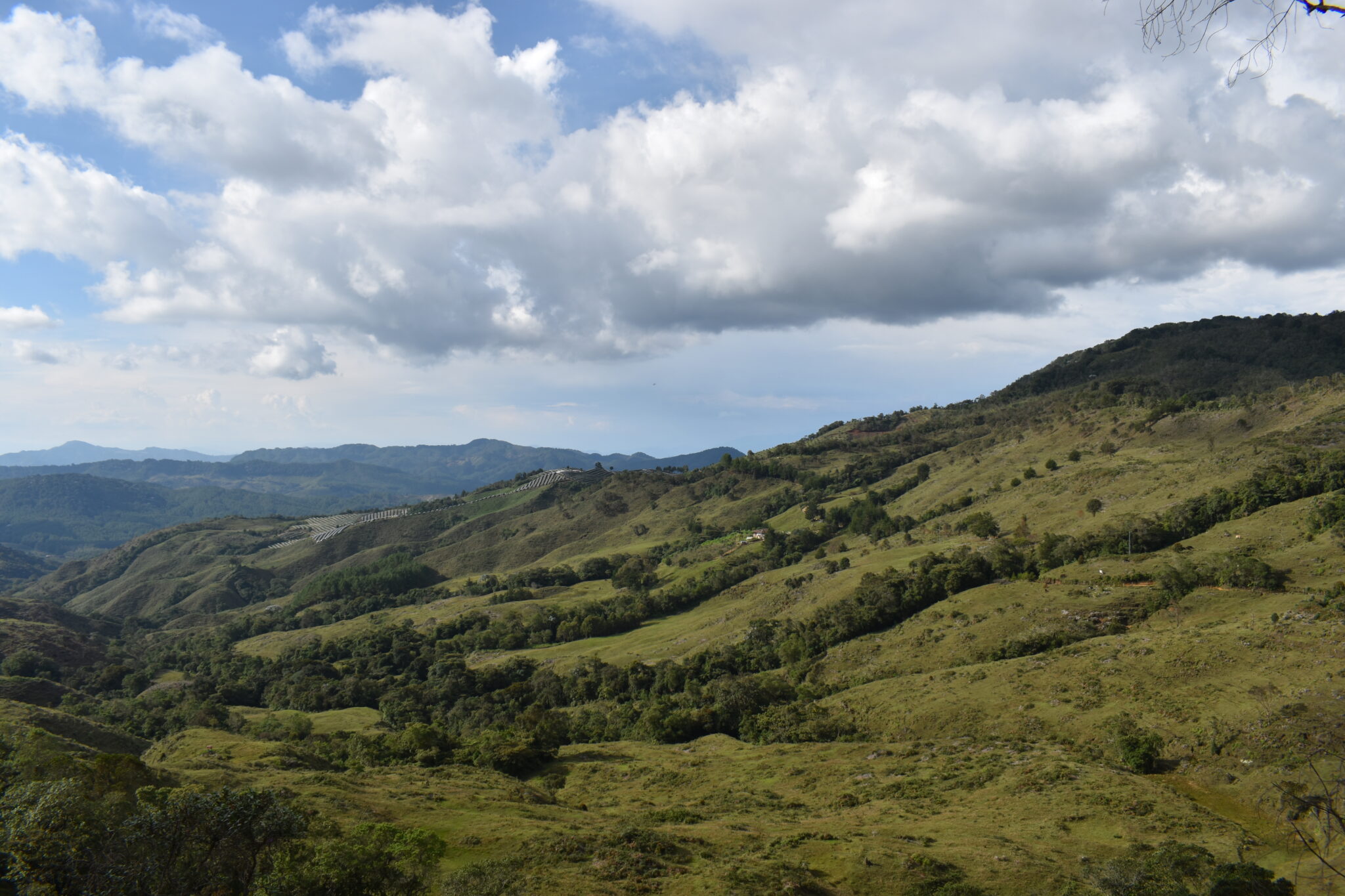 Small Grants Fund recipient Medellin Botanical Garden