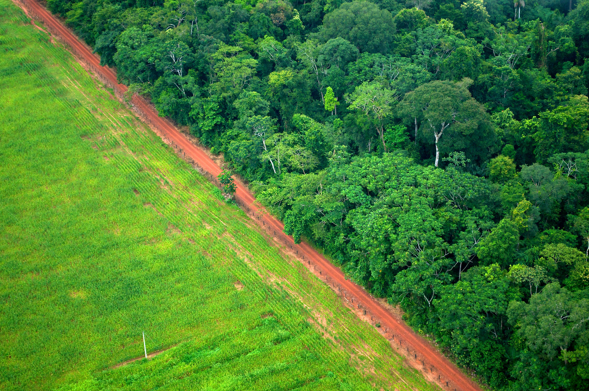 An aerial shot shows the contrast between forest and agricultural landscapes near Rio Branco, Acre, Brazil.