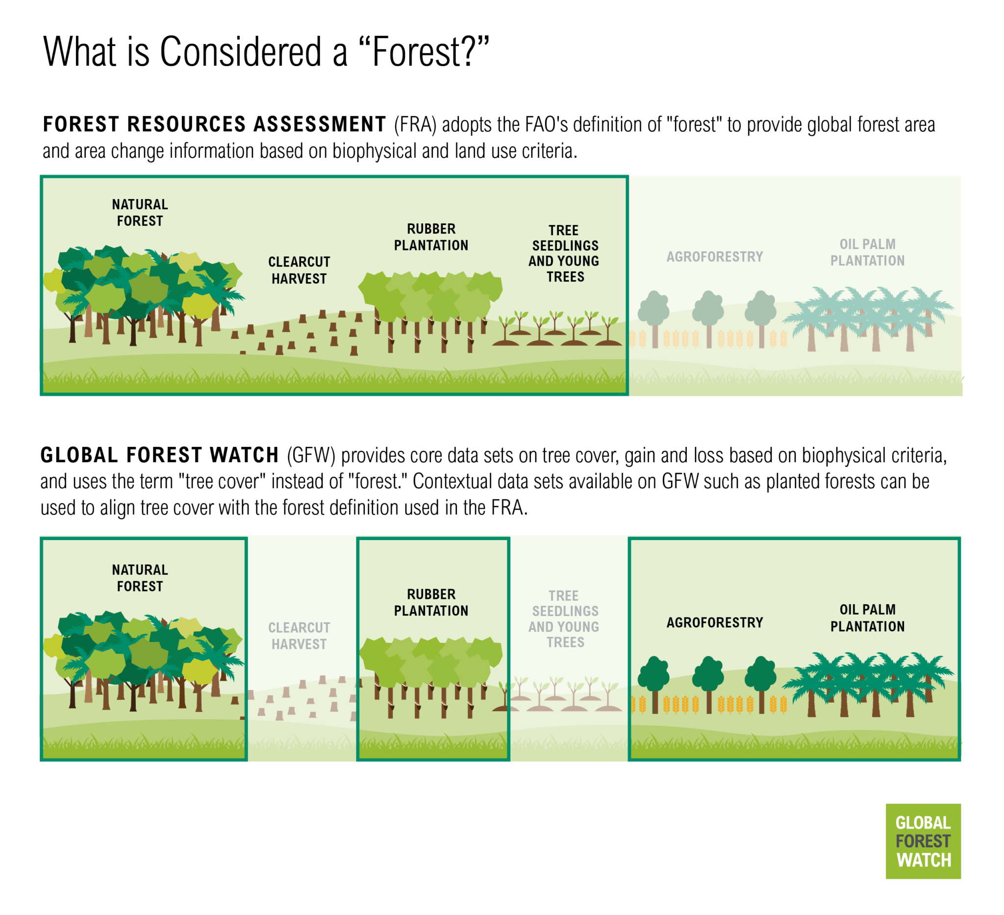 GLAD ALERTS AND RISK ASSESSMENT: GLOBAL FOREST WATCH TOOLS FOR TIMBER  MONITORING