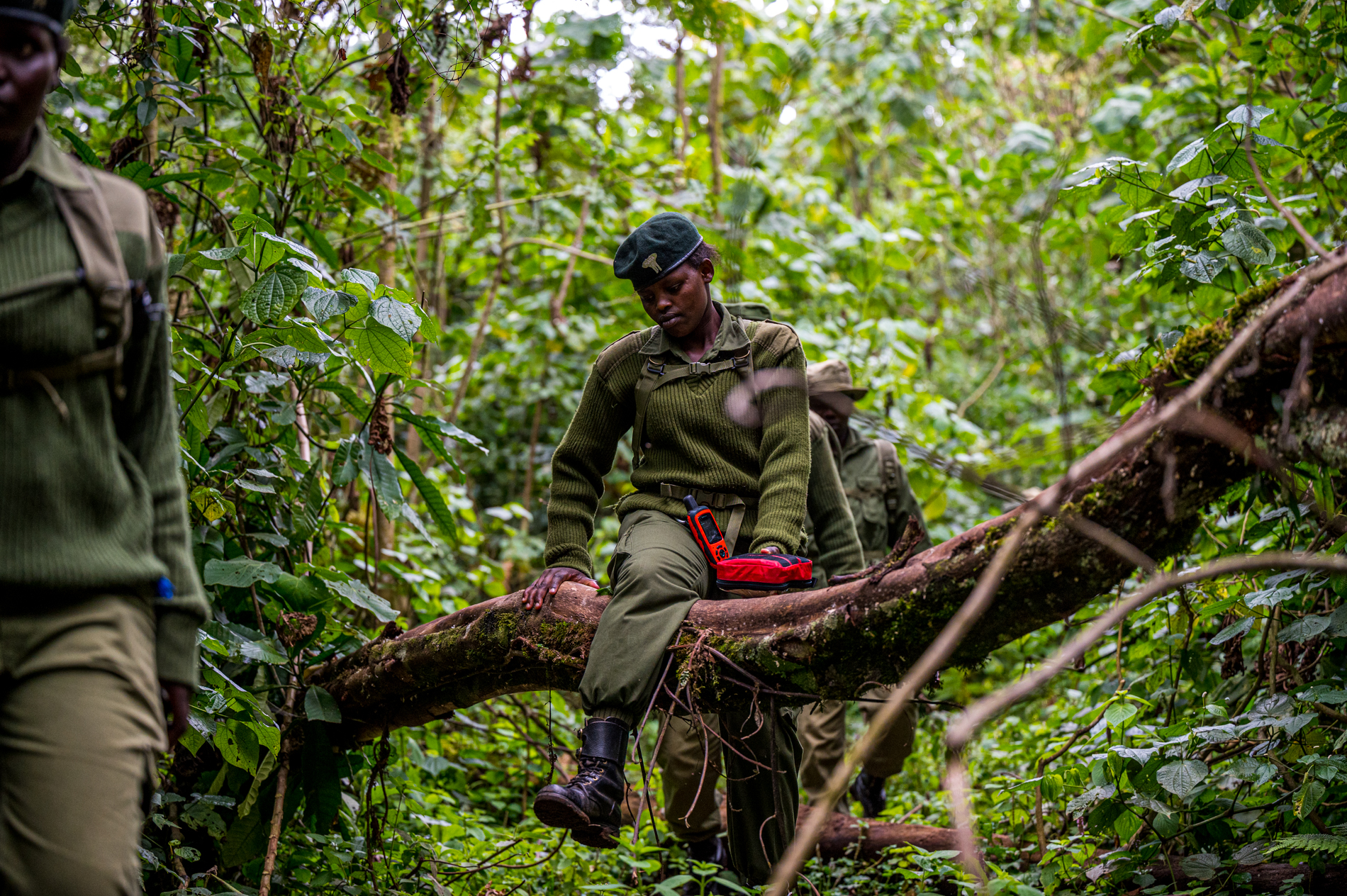 Mau Rangers ajudam a proteger florestas críticas