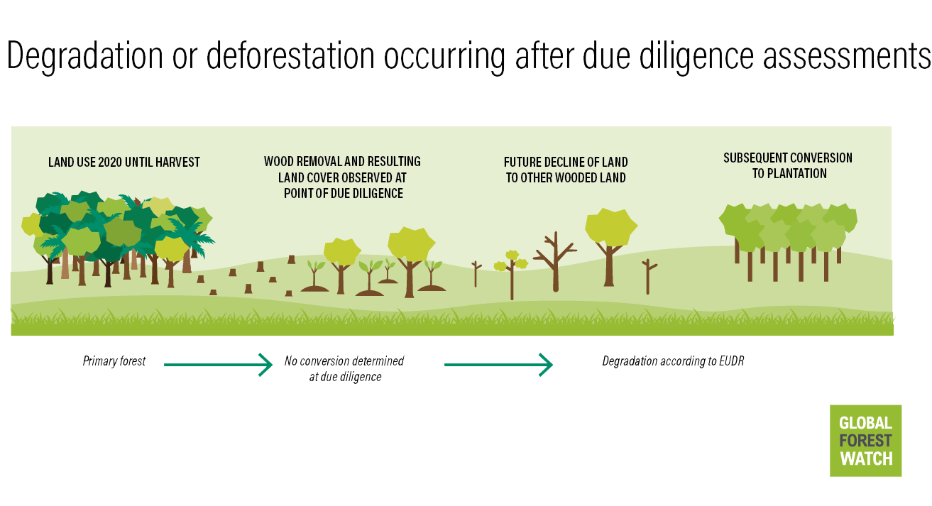 Degradation or deforestation occurring after due diligence assessments