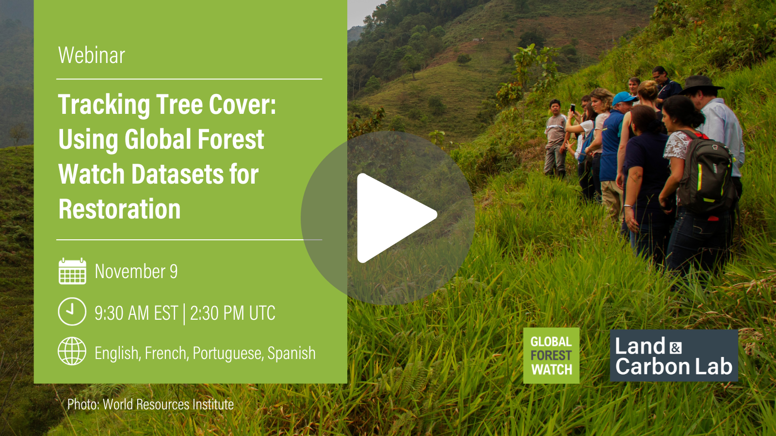 Global Forest Watch (@globalforests) • Instagram photos and videos