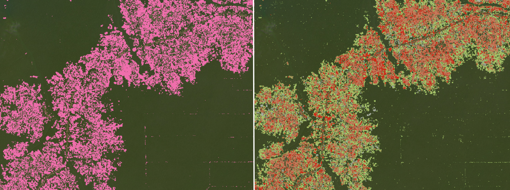 Side by side comparison of UMD tree cover loss and JRC Tropical Moist Forest data
