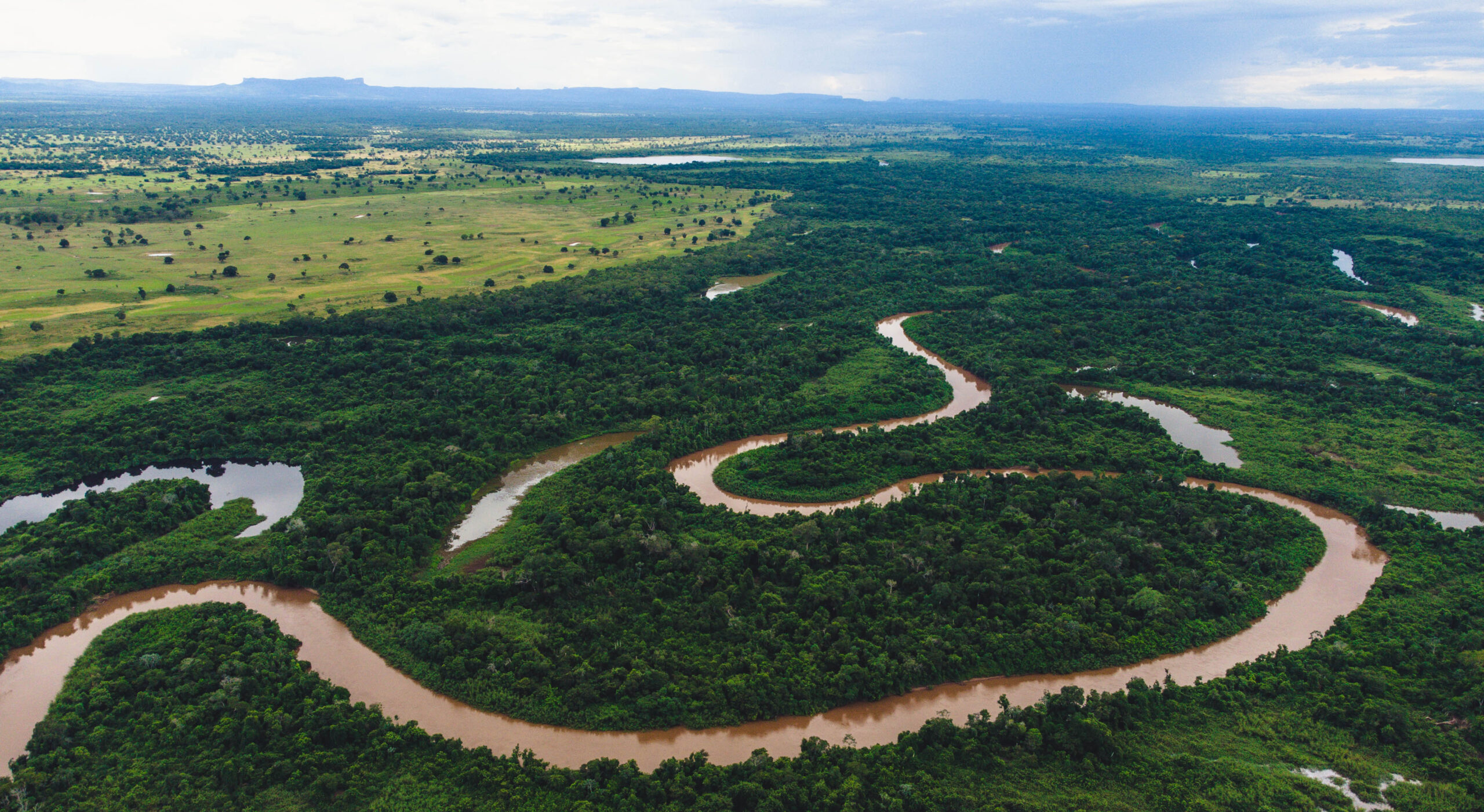 overview of a river in Pantanal, Brazil