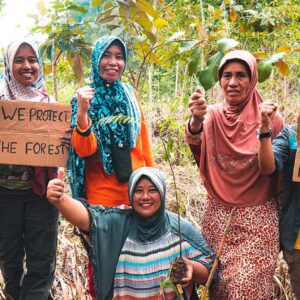 Forest News Research Monitoring Global Forest Watch Blog