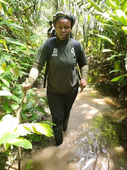 Geneviève Ndjiki Wéladji, President and coordinator of ASD, crossing a swamp and overcoming obstacles to find the causes of deforestation alerts from GFW in the Mengamé gorilla sanctuary