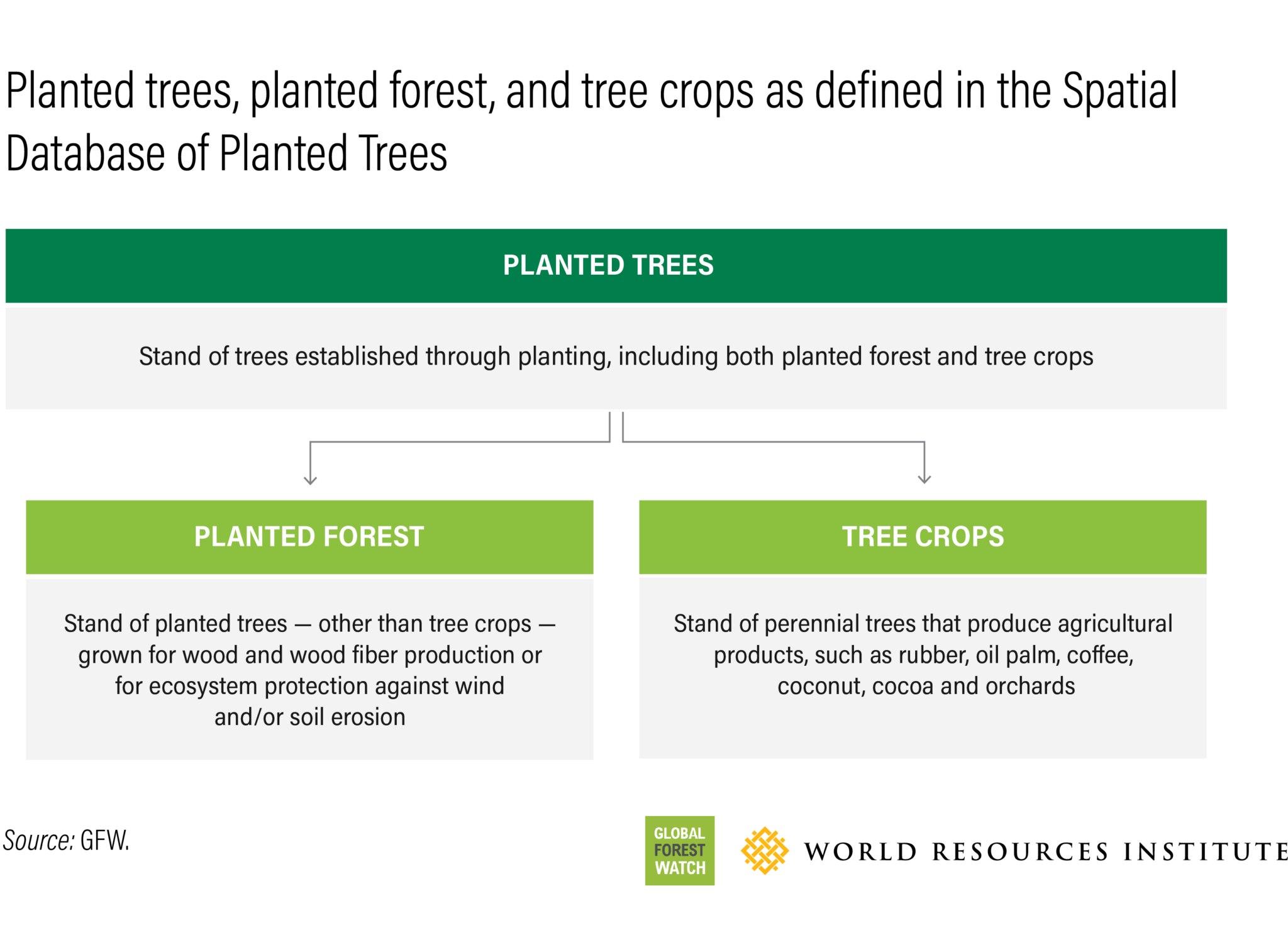 Table showing definitions of planted trees, planted forest and tree crops as defined in the Spatial Database of Planted Trees