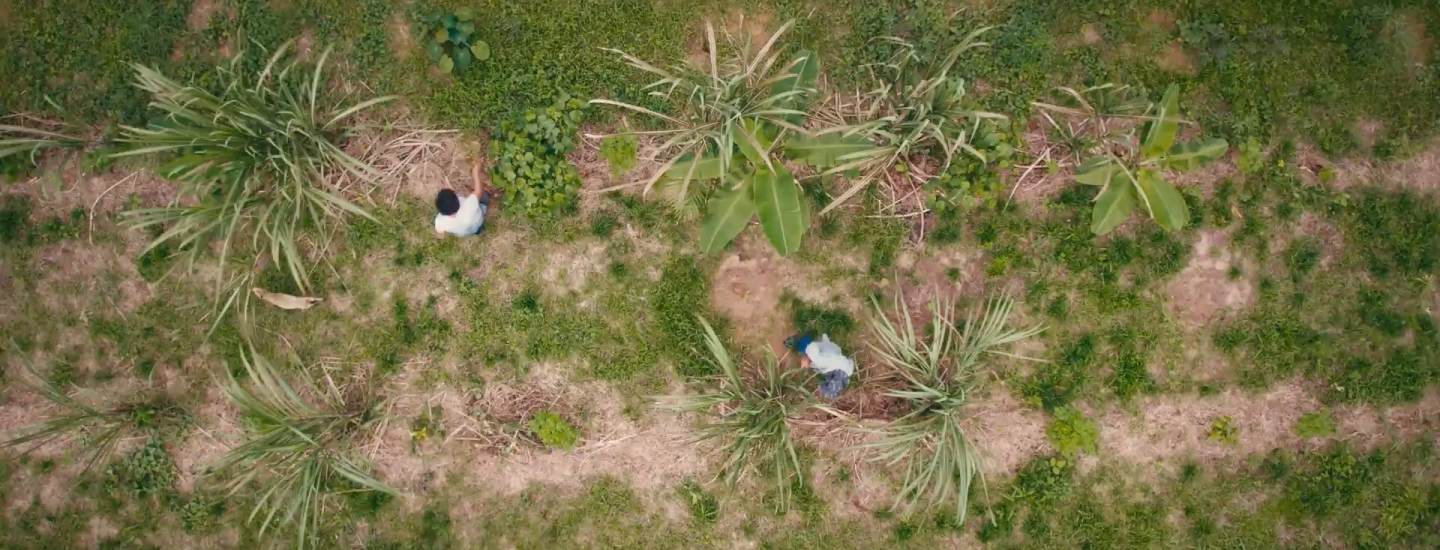 brazil-farm-settlement-aerial