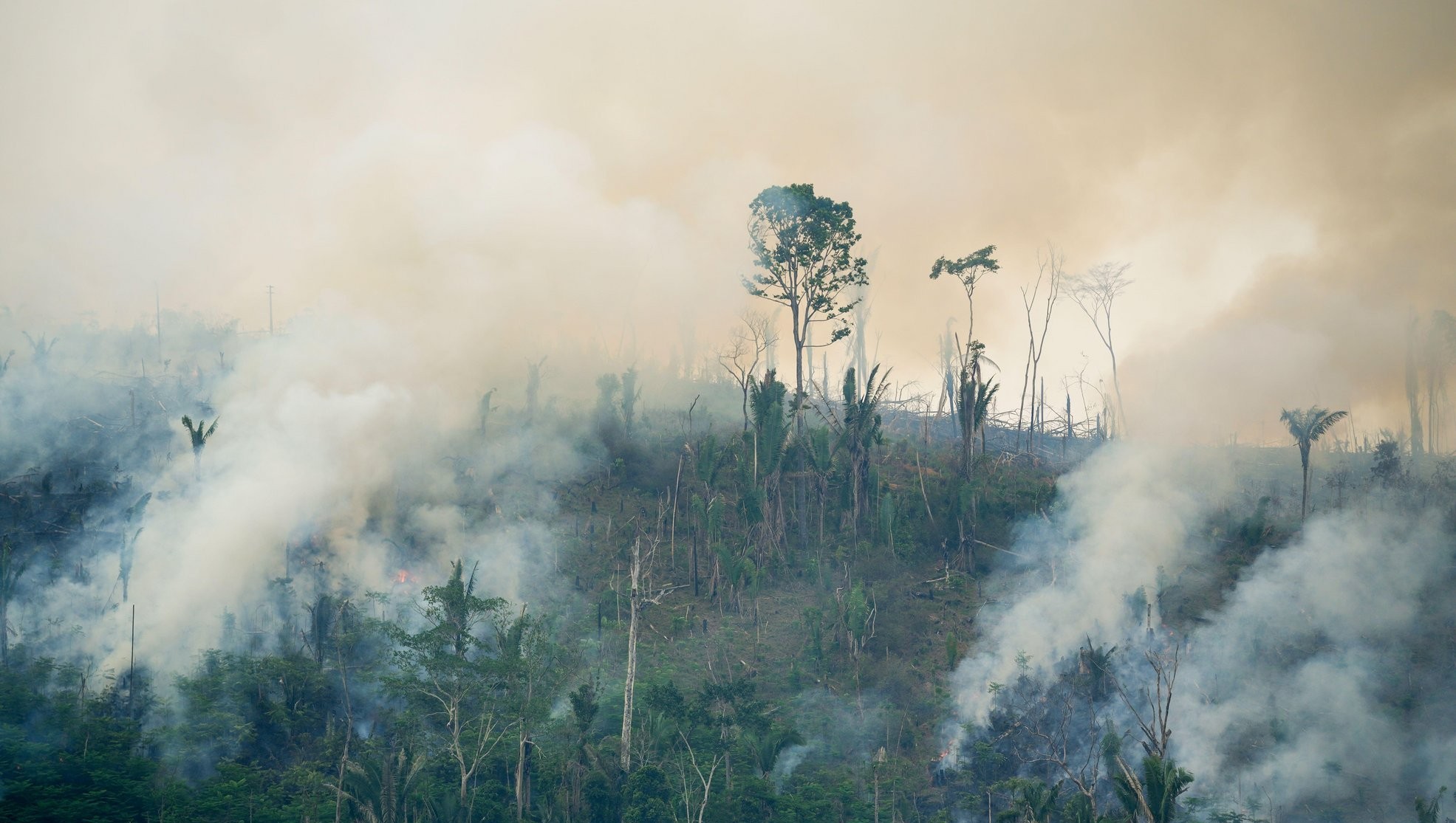 Large forest fire to open area for agriculture and cattle ranching in the Amazon rainforest. Credit: Paralaxis / Alamy Stock Photo