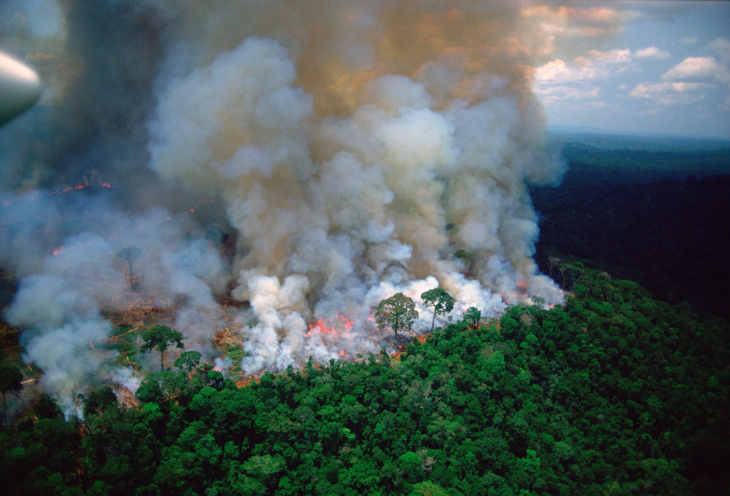 brazil-forest-fire-amazon