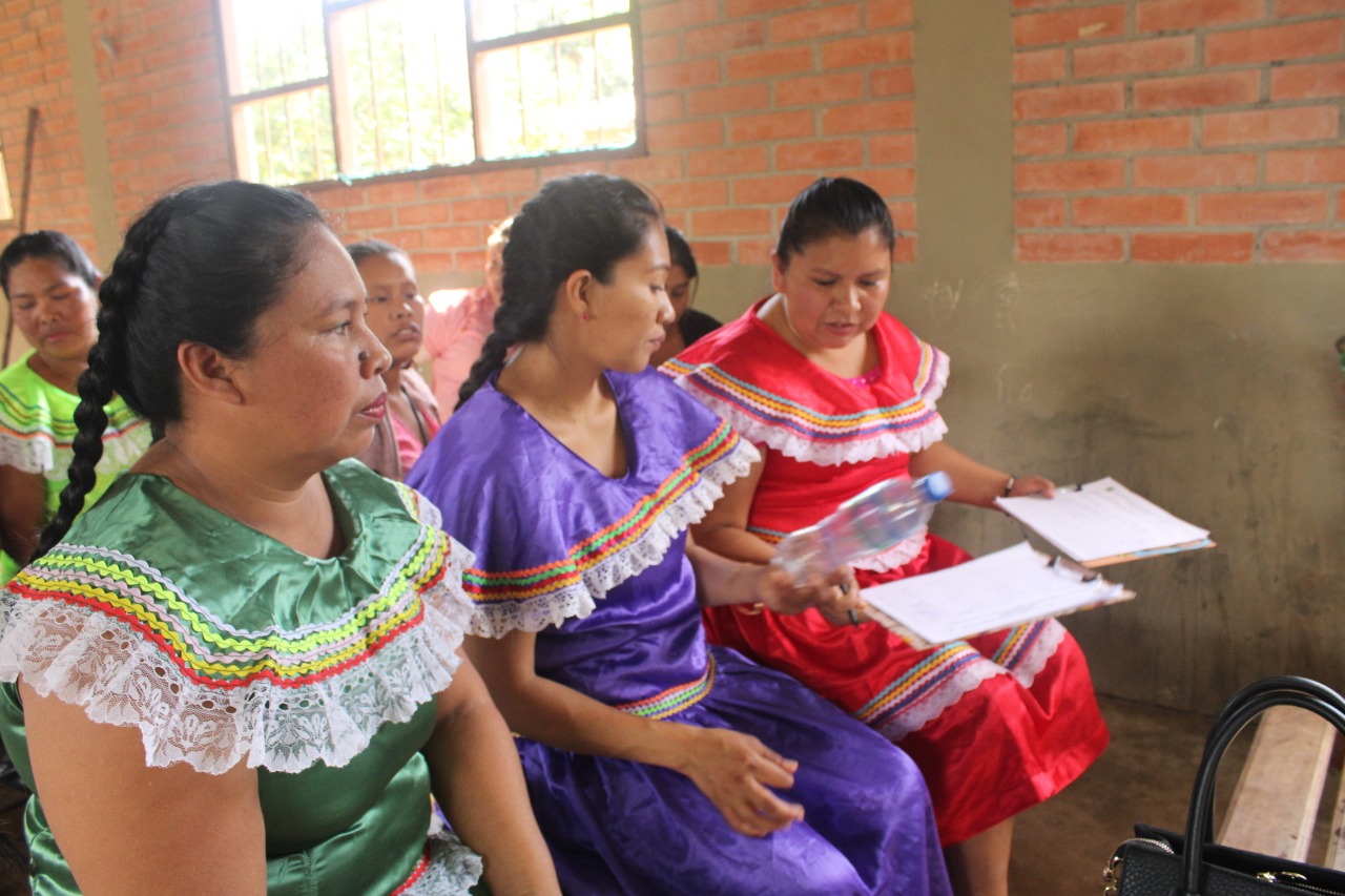 Confederación Nacional de Mujeres Indígenas de Bolivia (CNAMIB)