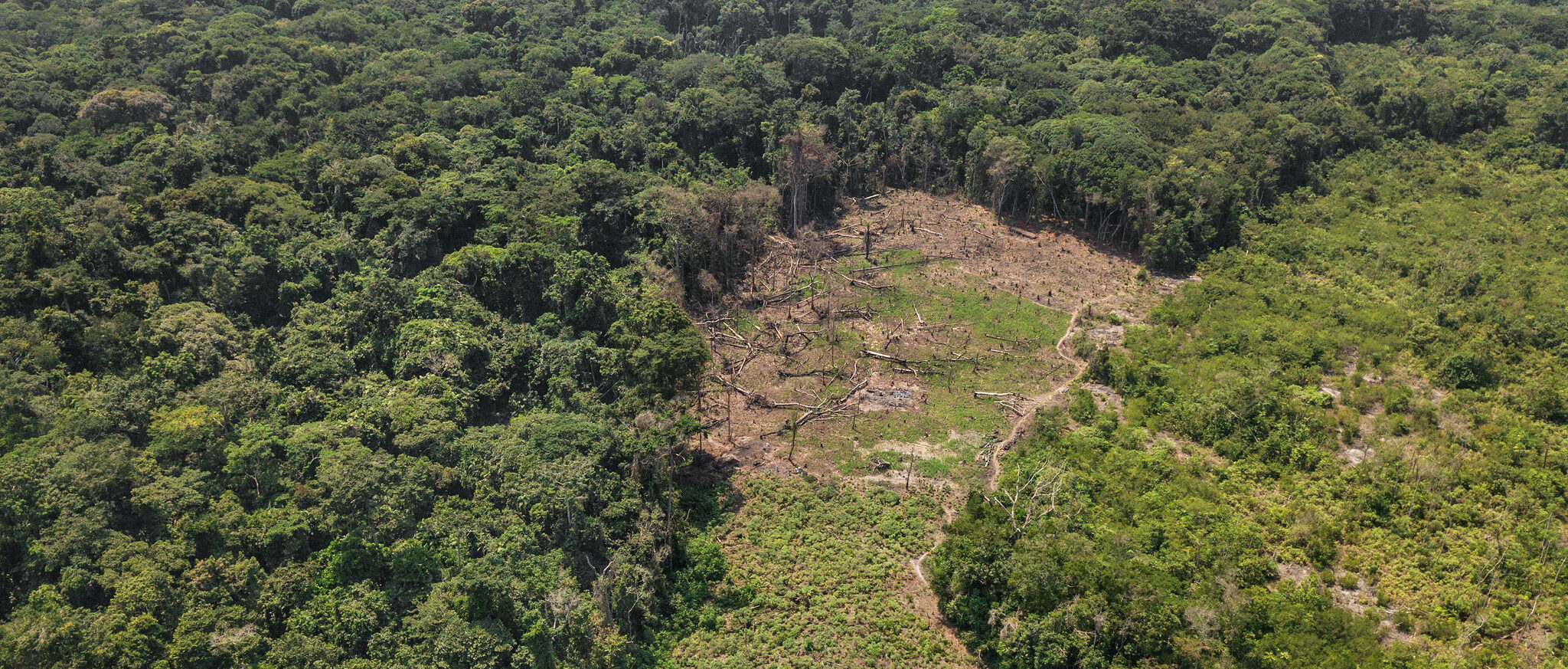 Deforestation near Lieki, DRC_Photo by Axel Fassio_CIFOR