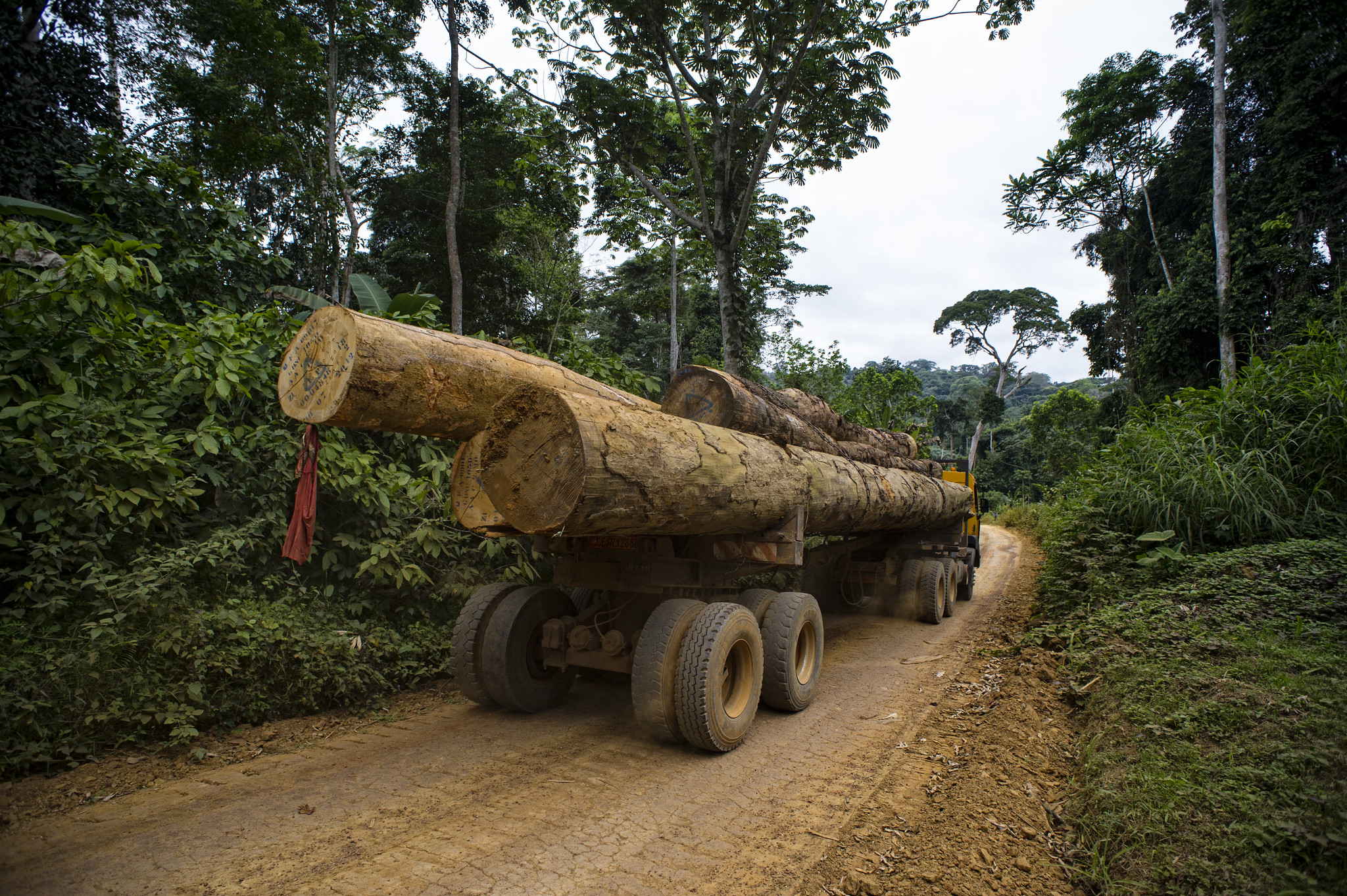 Wood truck near the village of Ngon. District of Ebolowa, Cameroon. Photo credit: Ollivier Girard/CIFOR.