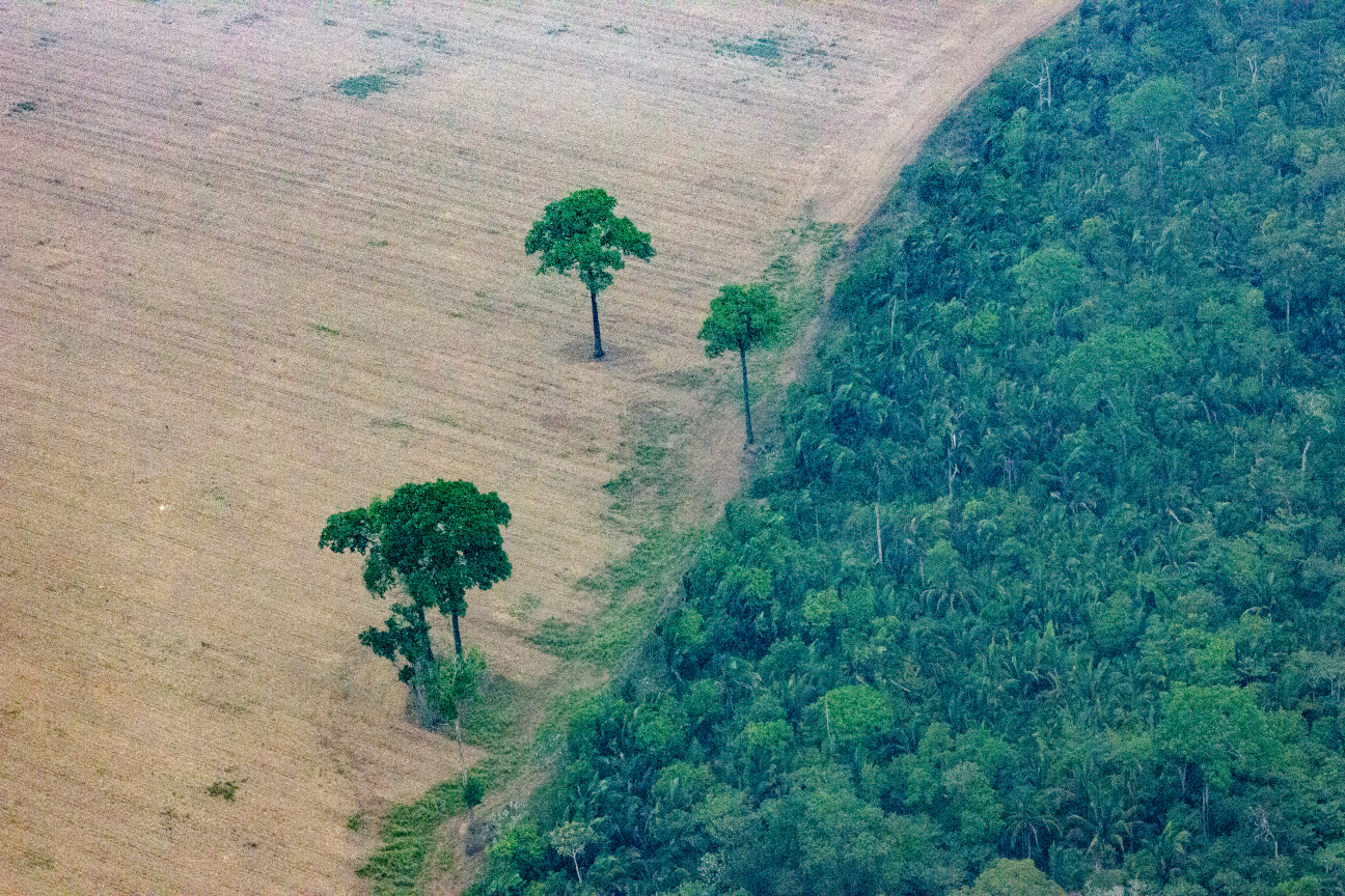 Associação InfoAmazonia