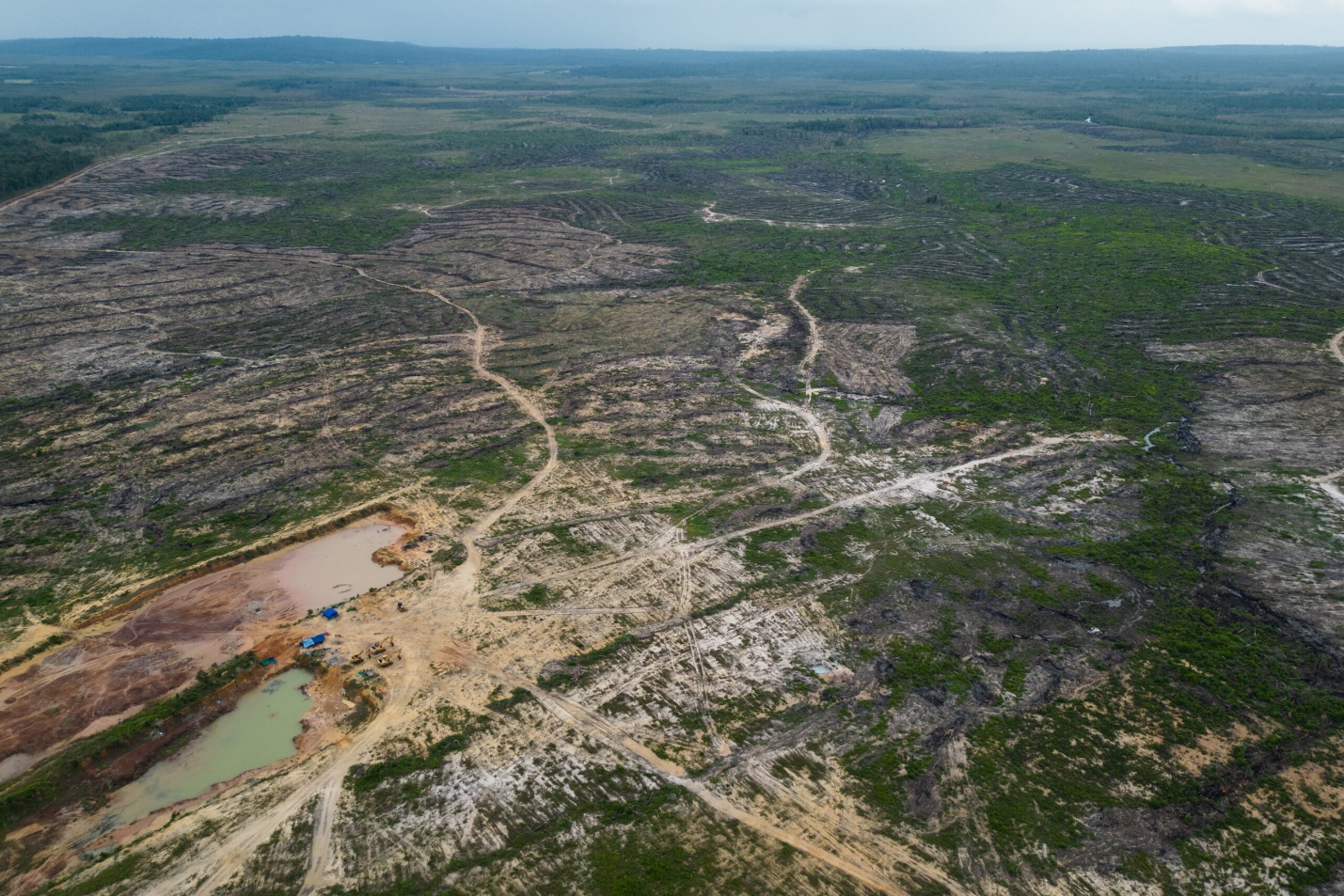 Excavators gouge a muddy hole into the soil of Botum Sakor National Park where forest once stood. Royal Group’s new SEZ [special economic zone] will consume one of the last pockets of forest in the national park.